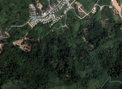 ที่ดินบางโจ